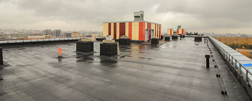 Case Studies: Success Stories of Commercial Roof Coatings in Action