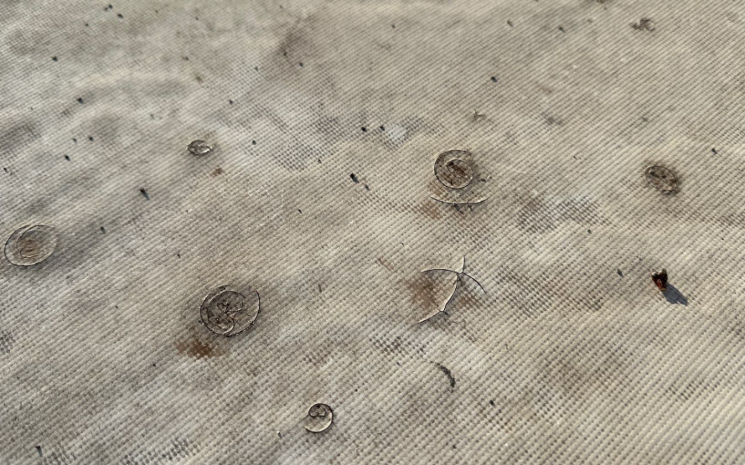 How Hail Really Damages Commercial Roofs in Nebraska and the Midwest and When You Should Worry