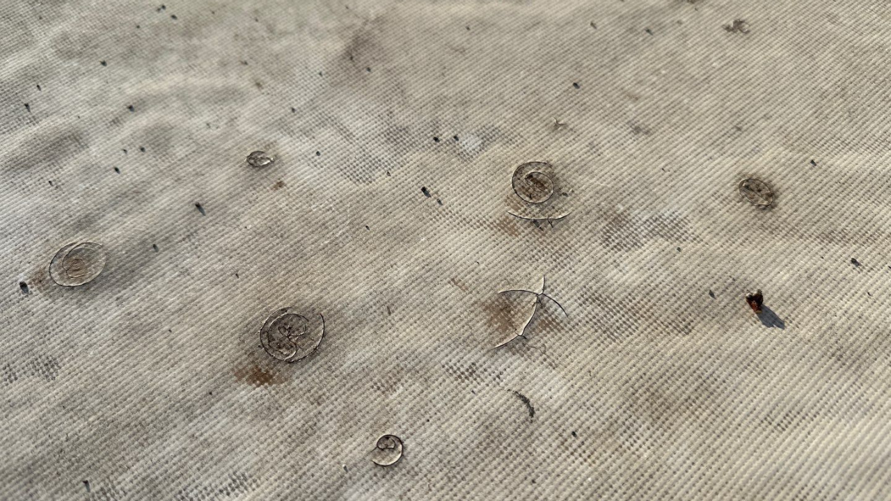hail damage example